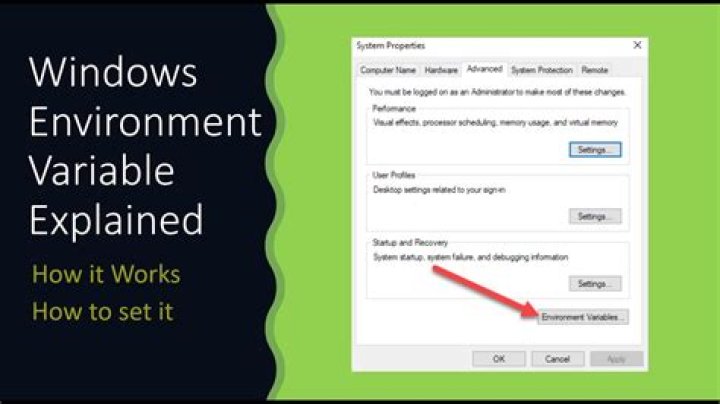 Specify environment variables for your Cypress tests