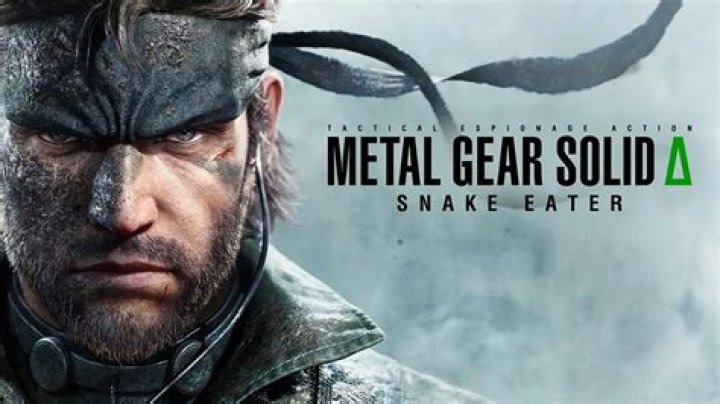 What is the meaning of "Zako Survival" in Metal Gear Solid 2: Substance